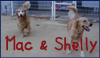 Mac&Shelly