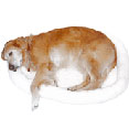 �ʐ^