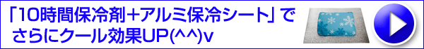 �u10���ԕۗ�܁{�A���~�ۗ�V�[�g�t�v�͂�����