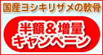 �T����E���z�����ʃL�����y�[��