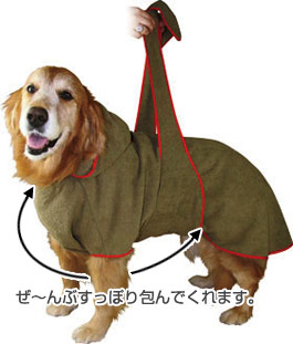 �ʐ^