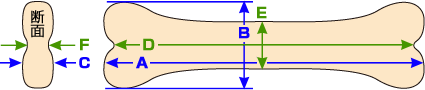 �T�C�Y