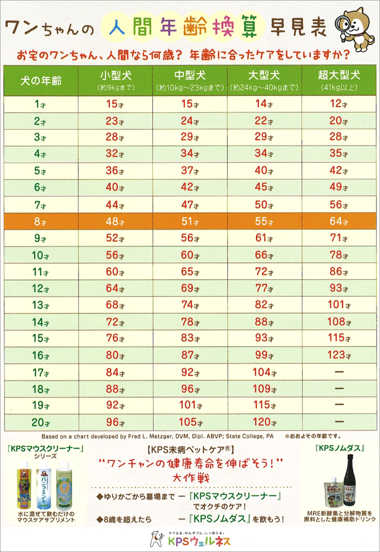 計算 犬 年齢 犬の年齢の計算法・人間の歳への換算法・平均寿命 [犬]