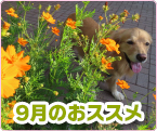 9̂XX