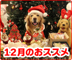 12̂XX
