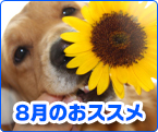 8���̂��X�X��
