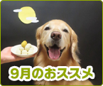 9���̂��X�X��