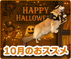 10���̂��X�X��