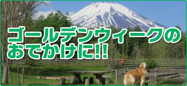 S[fEB[N̂ł!!