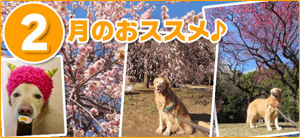 2���̂��X�X��