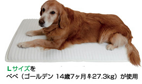 ホームナース（大型犬用 高機能リラックスマット・介護マット）