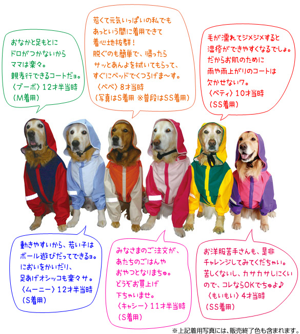 アイアンバロン犬レインコート