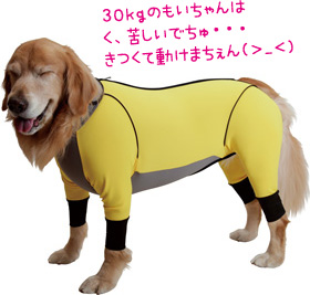アルファアイコン ダブルフルドッグガード（2013-2014年モデル）（大型犬・超大型犬用アウトドアウエア）