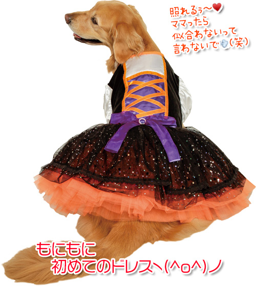 ウィッチドレス（大型犬用）