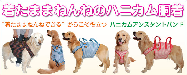 美品　＊　大型犬　ラブラドール　介護　ハニカムつなぎ　後脚付き　Mサイズ