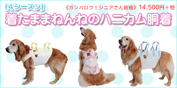 犬の介護用品 看護用品