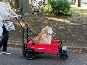 エアバギー キャリッジ（AirBuggy Carriage）（大型犬・中型犬用カート）