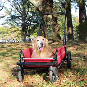 エアバギー キャリッジ Airbuggy Carriage 大型犬 中型犬用カート