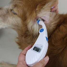 犬用体温計 耳で計る電子体温計 Pet Temp Pt 300