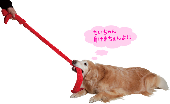 エナジーロープ 犬のおもちゃ