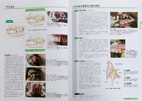 カラーアトラス 最新 くわしい犬の病気大図典（「愛犬の友」の誠文堂 