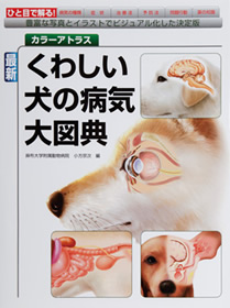 カラーアトラス 最新 くわしい犬の病気大図典（「愛犬の友」の誠文堂