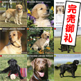 2014年カレンダー（レトリーバー・犬種別）