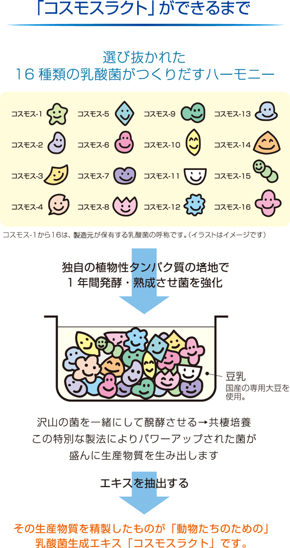 コスモスラクト（善玉菌にはたらく「乳酸菌生成エキス」）