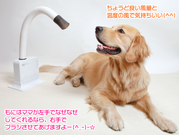 両手が使えるドライヤー 犬用