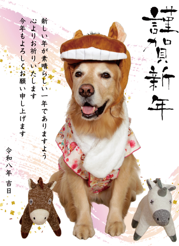 �A�C�A���o����